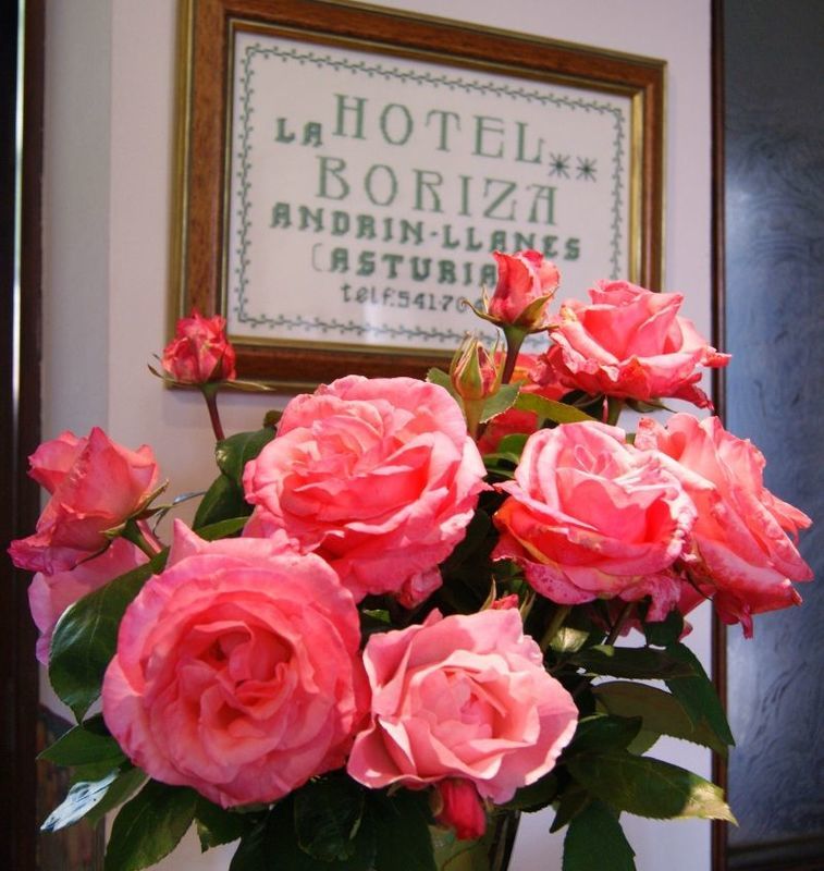 Hotel La Boriza Andrín Eksteriør billede